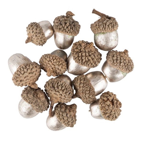 Deko-Eicheln, champagnerfarben, Ø1,5cm bis Ø2,3cm, 2,3cm bis 3,2cm lang, 12 S...