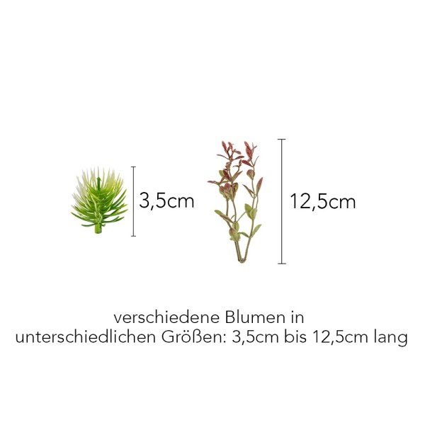 Deko-Floristik, Blumenvielfalt, Verschiedene Blumen, 3,5cm Bis 12,5cm ...