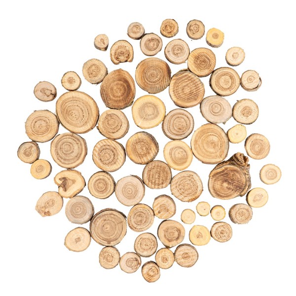 Baumscheiben, Ø2,5-5cm, 0,8cm stark, 60 Stück