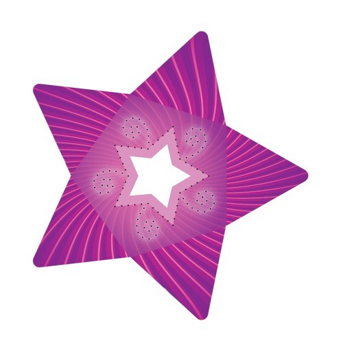 Stern-Stanzformen für 3-D Leuchtstern, 12 Stück, Design 5