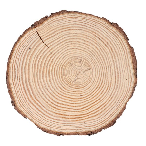 Baumscheibe, rund, Ø 19cm bis 20cm, 2cm dick