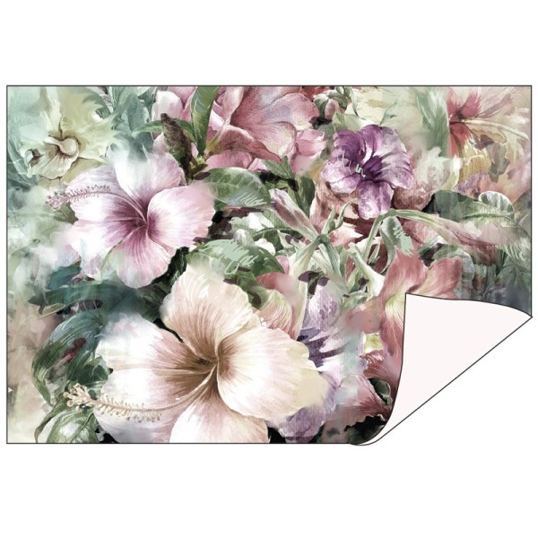 Faltpapiere Duo-Design 5, 10cm x 15cm, Blumen/creme, 50 Stück