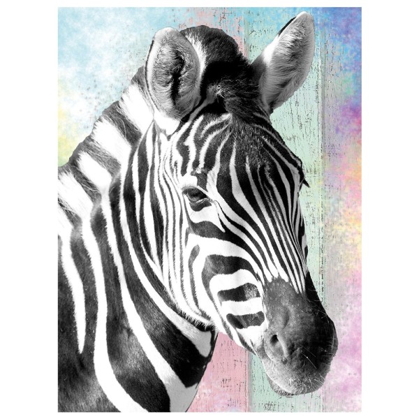 Diamond Painting, Zebra, 25cm x 35cm, Motivleinwand, runde Steinchen, inkl. Werkzeug