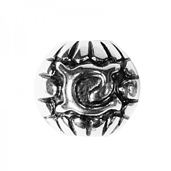 Schalperlen, Ø1,5 cm, silberfarben, 10er Set