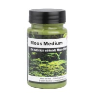 Moos Medium, 90ml | Sonstige | Farben | Bastelbedarf | Ideen mit Herz