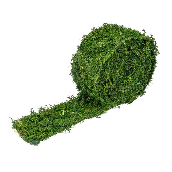 Moosband, 5cm breit, 2m lang, grün